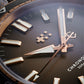 Christopher Ward - C60 Pro 300 Bronz
