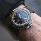 Marloe - Morar 310 - Bumblebee